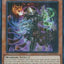 Tessera the Primal Squire [DUAD-EN018] Super Rare