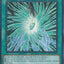 Guilt-Gripping Morganite [DUAD-EN070] Super Rare