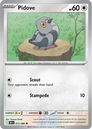 Pidove  071/086 [SV Black Bolt] (Non-Foil)