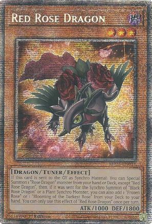 Red Rose Dragon [MP25-EN037] Starlight Rare