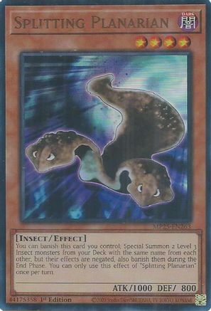 Splitting Planarian [MP25-EN263] Ultra Rare