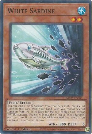 White Sardine [MP25-EN305] Common