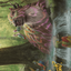 Basking Capybara // Basking Capybara (ALCI-022) - The Lost Caverns of Ixalan Art Series (Borderless)