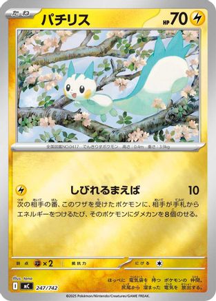 Pachirisu 247/742 [Start Deck 100 Battle Collection] (Japanese)