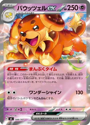 Dachsbun ex 348/742 [Start Deck 100 Battle Collection] (Japanese)