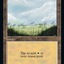 Plains (Retro) (581) [30th Anniversary Edition]