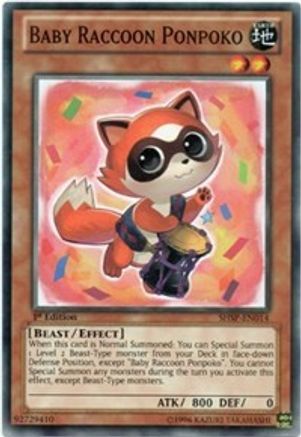 Baby Raccoon Ponpoko [SHSP-EN014] Common