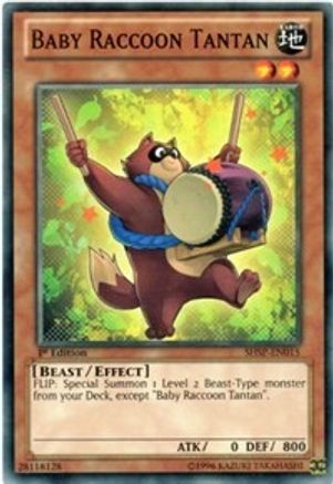 Baby Raccoon Tantan [SHSP-EN015] Common