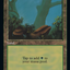 Forest (Retro) (592) [30th Anniversary Edition]