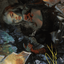 Prophetic Prism // Prophetic Prism (AWOE-045) - Wilds of Eldraine Art Series (Borderless) Foil