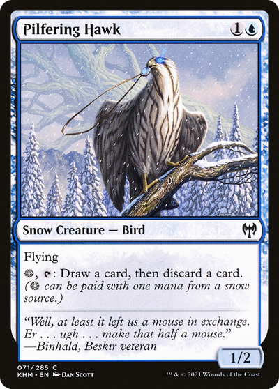 Pilfering Hawk [Kaldheim]