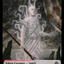 Copy // Spirit Double-Sided Token [The Lost Caverns of Ixalan Tokens]