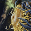 Flumph // Flumph (AAFR-012) - Adventures in the Forgotten Realms Art Series (Borderless) Foil