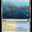 Restless Anchorage (Promo Pack) [The Lost Caverns of Ixalan Promos]