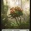 Copy // Saproling Double-Sided Token [Double Masters Tokens]