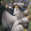 Dutiful Griffin // Dutiful Griffin (AWOE-003) - Wilds of Eldraine Art Series (Borderless) Foil