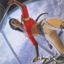 Sisay, Weatherlight Captain // Sisay, Weatherlight Captain (AMH1-016) - Modern Horizons Art Series (Borderless)