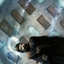 Mental Journey // Mental Journey (AMH2-015) - Modern Horizons 2 Art Series (Borderless)