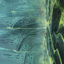 Swamp // Swamp (AONE-063) - Phyrexia: All Will Be One Art Series (Borderless) Foil