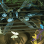 Cooped Up // Cooped Up (AWOE-001) - Wilds of Eldraine Art Series (Borderless)