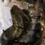 Junk Winder // Junk Winder (AMH2-013) - Modern Horizons 2 Art Series (Borderless) Foil