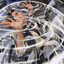 Selfless Glyphweaver // Selfless Glyphweaver (ASTX-039) - Strixhaven Art Series (Borderless) Foil