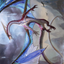 Moonveil Regent // Moonveil Regent (AMID-044) - Midnight Hunt Art Series (Borderless)