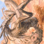 Enduring Sliver // Enduring Sliver (AMH1-025) - Modern Horizons Art Series (Borderless)