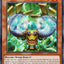 Mind Procedure - [DUAD-EN015] Super Rare - DUAD PRE-ORDER, SHIPS 5/07/2025  - TCG Collector NZ - Yu-Gi-Oh Singles