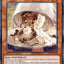 WAKE CUP! Mocha - [DUAD-EN028] Common - DUAD PRE-ORDER, SHIPS 5/07/2025  - TCG Collector NZ - Yu-Gi-Oh Singles