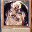 Buio the Dawn's Light - [DUAD-EN081] Common - DUAD PRE-ORDER, SHIPS 5/07/2025  - TCG Collector NZ - Yu-Gi-Oh Singles