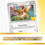 Pokemon TCG: Mega Evolution: 30th Celebration Knockout Collection *Sealed*
