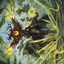 Witherbloom Command // Witherbloom Command (ASTX-045) - Strixhaven Art Series (Borderless) Foil