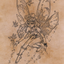 Pixie Guide // Pixie Guide (AAFR-078) - Adventures in the Forgotten Realms Art Series (Borderless)