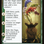 Teachings of the Kirin // Kirin-Touched Orochi (Extended Art) [Kamigawa: Neon Dynasty]