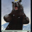 Bear // Spirit (008) Double-Sided Token [Double Masters 2022 Tokens]