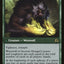 Sage of Ancient Lore // Werewolf of Ancient Hunger [Shadows over Innistrad]