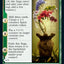 Teachings of the Kirin // Kirin-Touched Orochi (Extended Art) [Kamigawa: Neon Dynasty]