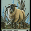 Insect // Sheep Double-Sided Token [Dominaria Remastered Tokens]