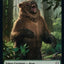 Kavu // Bear Double-Sided Token [Dominaria United Commander Tokens]