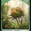 Saproling // Elf Knight (TGK1-008) - GRN Guild Kit Tokens