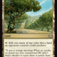 Exotic Orchard [Duskmourn: House of Horror Commander]