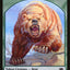 Illusion // Bear Double-Sided Token [Modern Horizons Tokens]