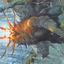 Ayula, Queen Among Bears // Ayula, Queen Among Bears (AMH1-010) - Modern Horizons Art Series (Borderless)