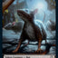 Rat // Zombie Double-Sided Token [Dungeons & Dragons: Adventures in the Forgotten Realms Commander Tokens]