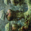 Forest // Forest (ADMU-065) - Dominaria United Art Series (Borderless)