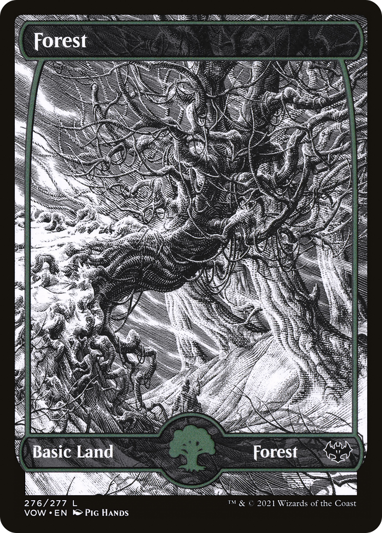 Forest (276) [Innistrad: Crimson Vow]