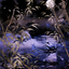 Swamp // Swamp (ANEO-081) - Neon Dynasty Art Series (Borderless)