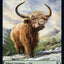 Treasure // Ox Double-Sided Token [Commander Legends: Battle for Baldur's Gate Tokens]