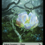 Detective // Plant Double-Sided Token [Murders at Karlov Manor Tokens]